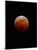 Lunar Eclipse-Alan Diaz-Mounted Photographic Print