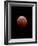 Lunar Eclipse-Alan Diaz-Framed Photographic Print