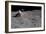 Lunar Grand Prix on Apollo 16 Mission, 1972-null-Framed Photographic Print