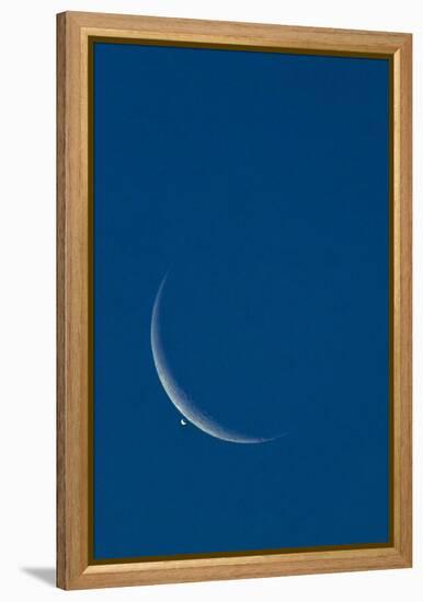 Lunar Occultation of Venus-David Nunuk-Framed Premier Image Canvas