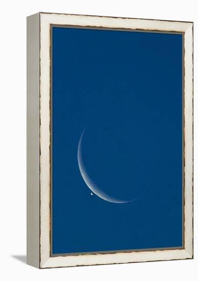 Lunar Occultation of Venus-David Nunuk-Framed Premier Image Canvas