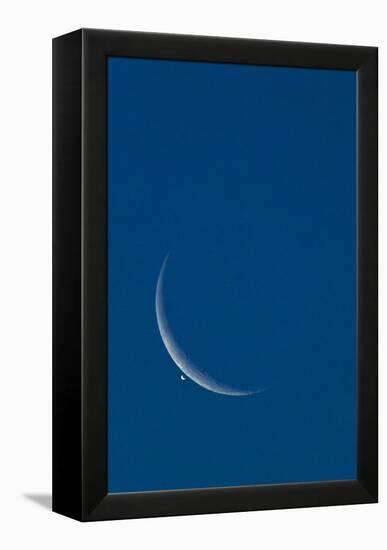 Lunar Occultation of Venus-David Nunuk-Framed Premier Image Canvas