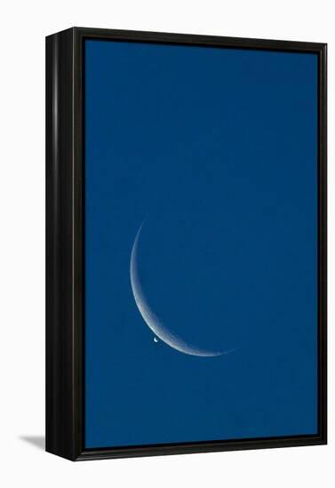 Lunar Occultation of Venus-David Nunuk-Framed Premier Image Canvas