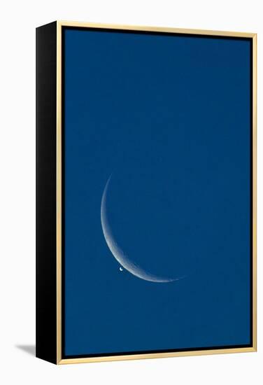 Lunar Occultation of Venus-David Nunuk-Framed Premier Image Canvas