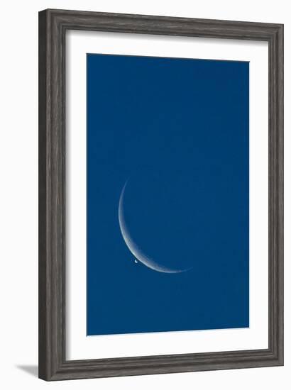 Lunar Occultation of Venus-David Nunuk-Framed Photographic Print