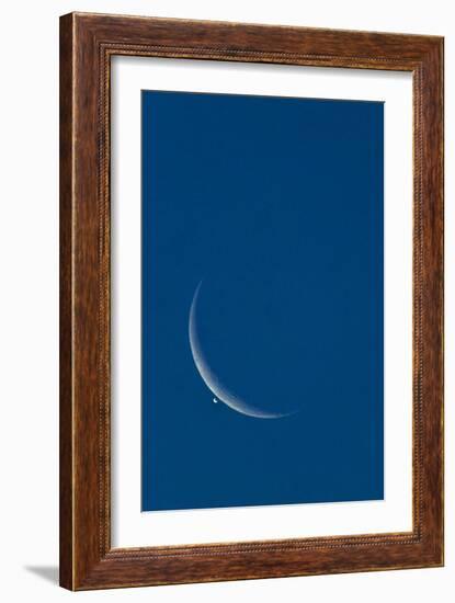 Lunar Occultation of Venus-David Nunuk-Framed Photographic Print