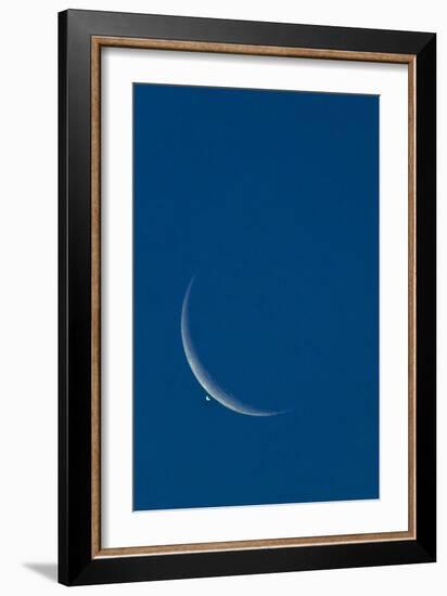 Lunar Occultation of Venus-David Nunuk-Framed Photographic Print