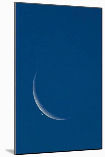 Lunar Occultation of Venus-David Nunuk-Mounted Photographic Print