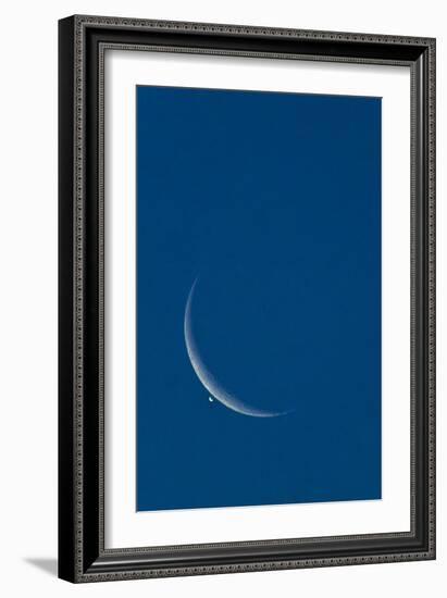 Lunar Occultation of Venus-David Nunuk-Framed Photographic Print