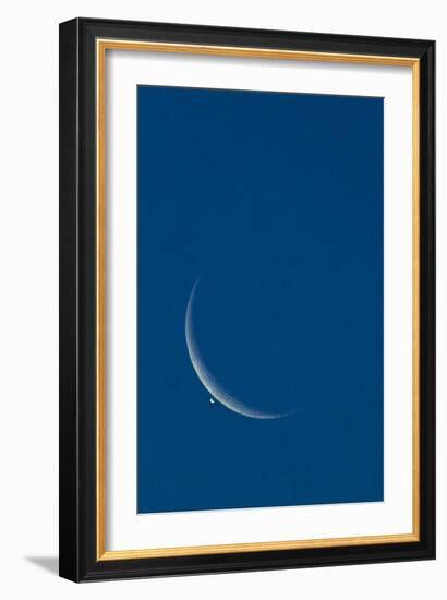 Lunar Occultation of Venus-David Nunuk-Framed Photographic Print