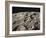 Lunar Surface-null-Framed Photographic Print