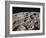 Lunar Surface-null-Framed Photographic Print