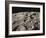 Lunar Surface-null-Framed Photographic Print