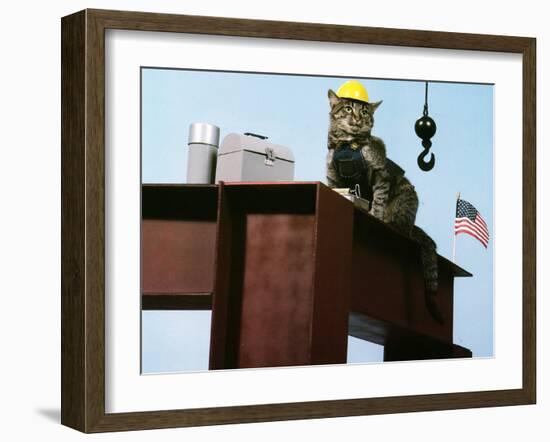 Lunch Break-null-Framed Photographic Print