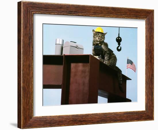 Lunch Break-null-Framed Photographic Print