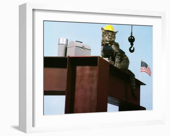 Lunch Break-null-Framed Photographic Print