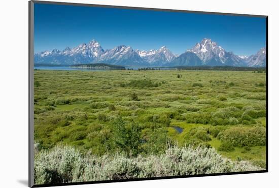 Lunch Tree Hill, Grand Teton National Park, Wyoming, Usa.-Roddy Scheer-Mounted Photographic Print