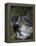 Luncheon on the Grass-Claude Monet-Framed Premier Image Canvas