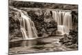 Photographic Print