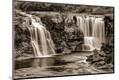 Photographic Print