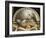 Lunette with the Summer-Correggio-Framed Giclee Print