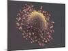 Lung Cancer Cell, SEM-Steve Gschmeissner-Mounted Photographic Print