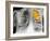 Lung Cancer, X-ray-Science Photo Library-Framed Photographic Print