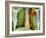 Lung Cancer, X-ray-Du Cane Medical-Framed Photographic Print