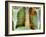 Lung Cancer, X-ray-Du Cane Medical-Framed Photographic Print