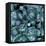 Lung Cells, Fluorescent Micrograph-Dr. Torsten Wittmann-Framed Premier Image Canvas