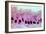 Lung Cells, Light Micrograph-Science Photo Library-Framed Photographic Print