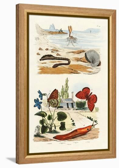 Lungworm, 1833-39-null-Framed Premier Image Canvas