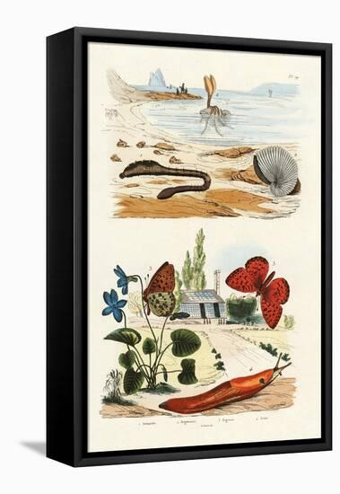 Lungworm, 1833-39-null-Framed Premier Image Canvas