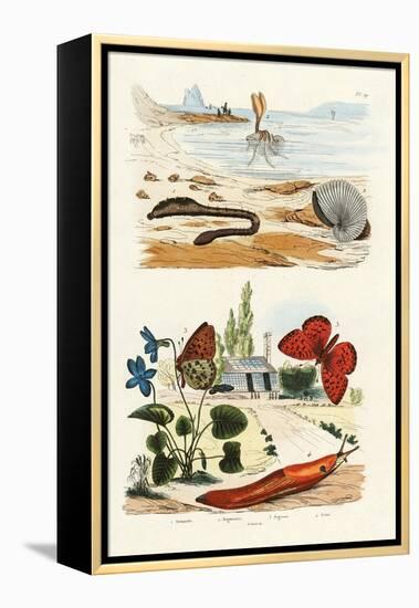 Lungworm, 1833-39-null-Framed Premier Image Canvas