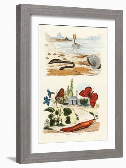 Lungworm, 1833-39-null-Framed Giclee Print