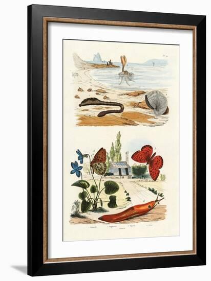 Lungworm, 1833-39-null-Framed Giclee Print