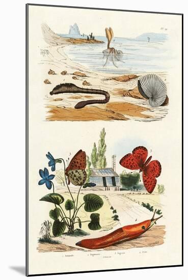 Lungworm, 1833-39-null-Mounted Giclee Print