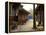 Luodai Ancient Town, Chengdu, Sichuan Province, China, Asia-Simon Montgomery-Framed Premier Image Canvas