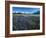 Lupine and Kenai Mountains, Kenai National Wildlife Refuge, Alaska, USA-Adam Jones-Framed Photographic Print