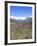 Lupine and the Main Divide, Arthur's Pass National Park, South Island, New Zealand-Rob Tilley-Framed Photographic Print