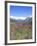 Lupine and the Main Divide, Arthur's Pass National Park, South Island, New Zealand-Rob Tilley-Framed Photographic Print