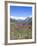 Lupine and the Main Divide, Arthur's Pass National Park, South Island, New Zealand-Rob Tilley-Framed Photographic Print