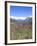 Lupine and the Main Divide, Arthur's Pass National Park, South Island, New Zealand-Rob Tilley-Framed Photographic Print