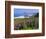 Lupine Flowers and Rugged Coastline along Southern Oregon, USA-Adam Jones-Framed Photographic Print