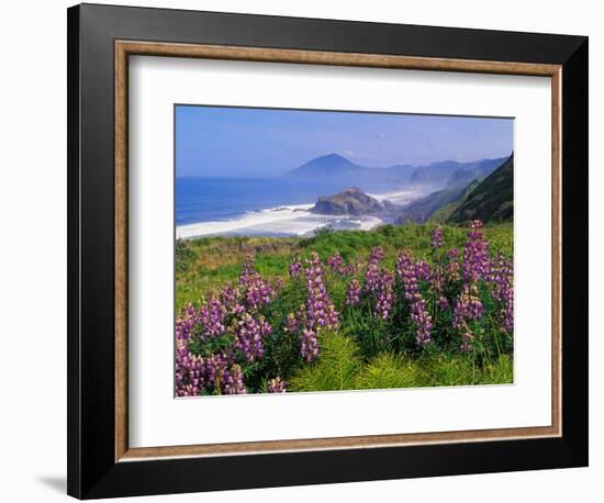 Lupine Flowers and Rugged Coastline along Southern Oregon, USA-Adam Jones-Framed Photographic Print