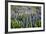 Lupine Flowers, Reykjavik, Iceland, Polar Regions-Yadid Levy-Framed Photographic Print