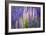 Lupine Flowers-Cora Niele-Framed Giclee Print