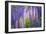 Lupine Flowers-Cora Niele-Framed Giclee Print