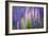 Lupine Flowers-Cora Niele-Framed Giclee Print