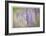 Lupine Grasses-Donald Paulson-Framed Giclee Print